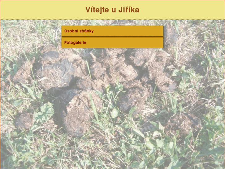 www.jirik.info