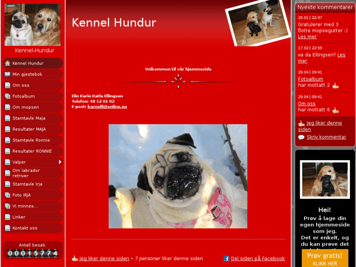 www.kennel-hundur.com