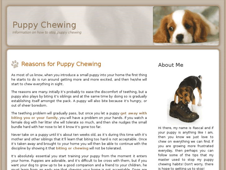 www.puppychewing.net