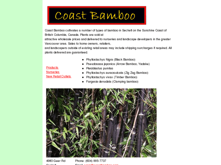 www.coastbamboo.com