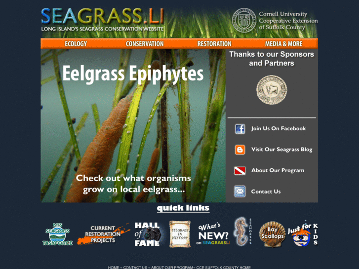 www.seagrassli.com
