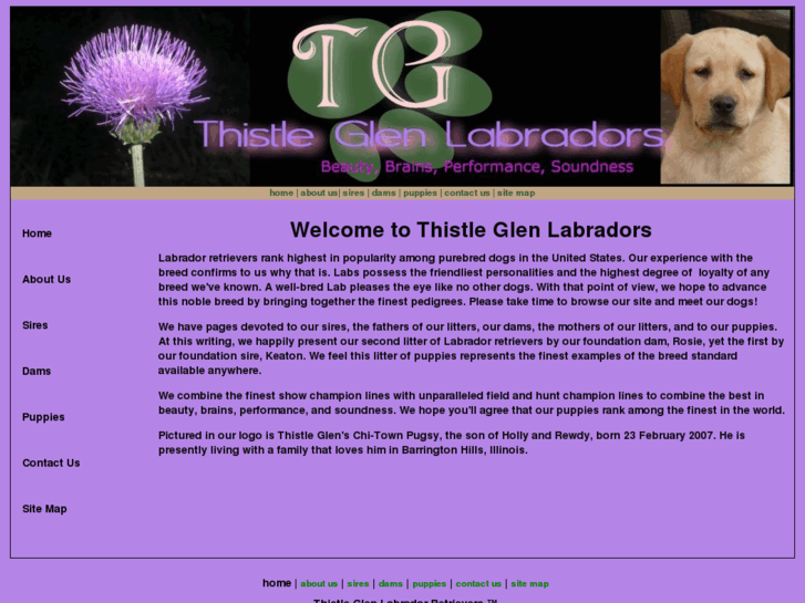 www.thistleglenlabs.com