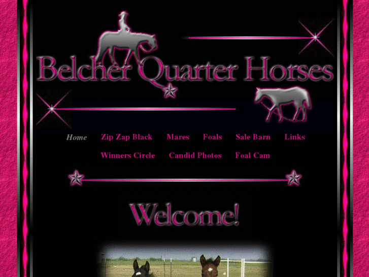 www.belcherquarterhorses.com