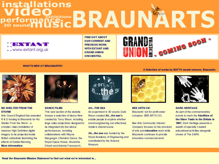 www.braunarts.com