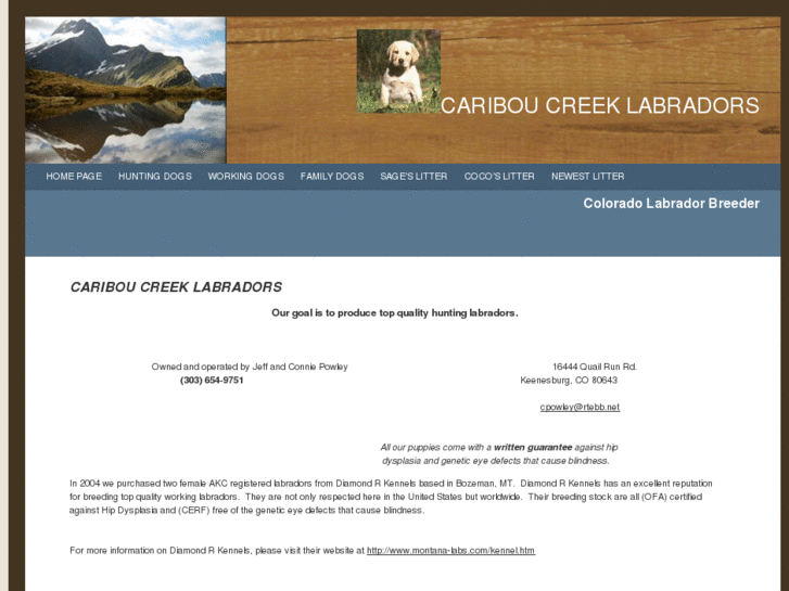 www.cariboucreeklabradors.com