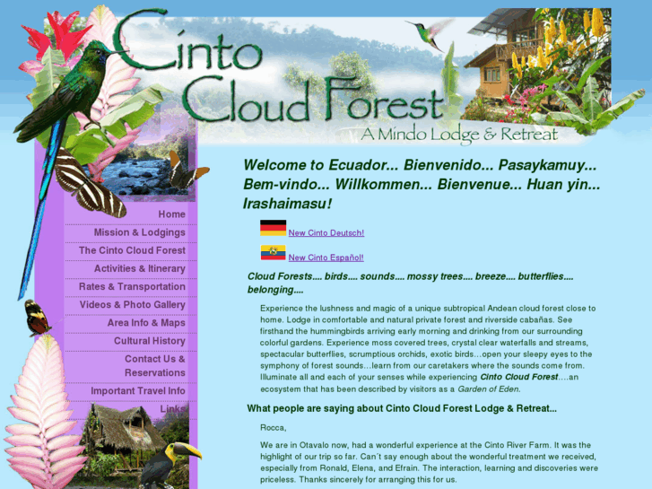 www.cintocloudforest.com