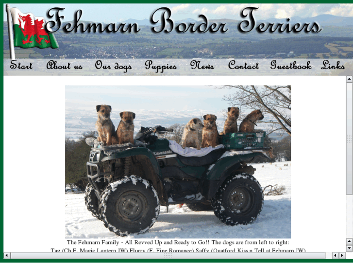 www.fehmarnborderterriers.com