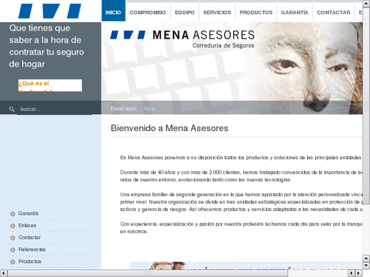 www.mena-asesores.com