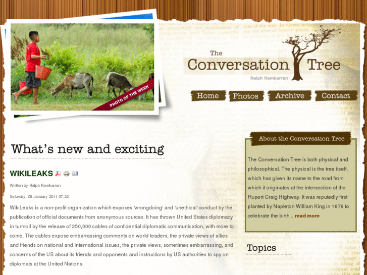 www.theconversationtree.net
