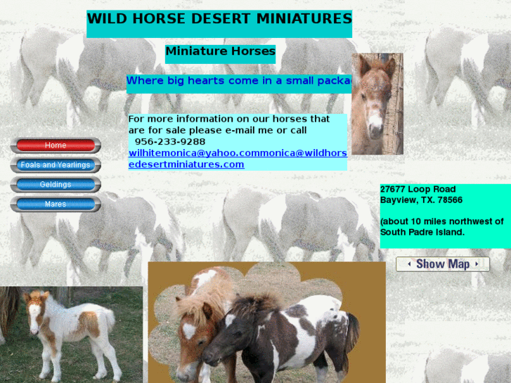 www.wildhorsedesertminiatures.com