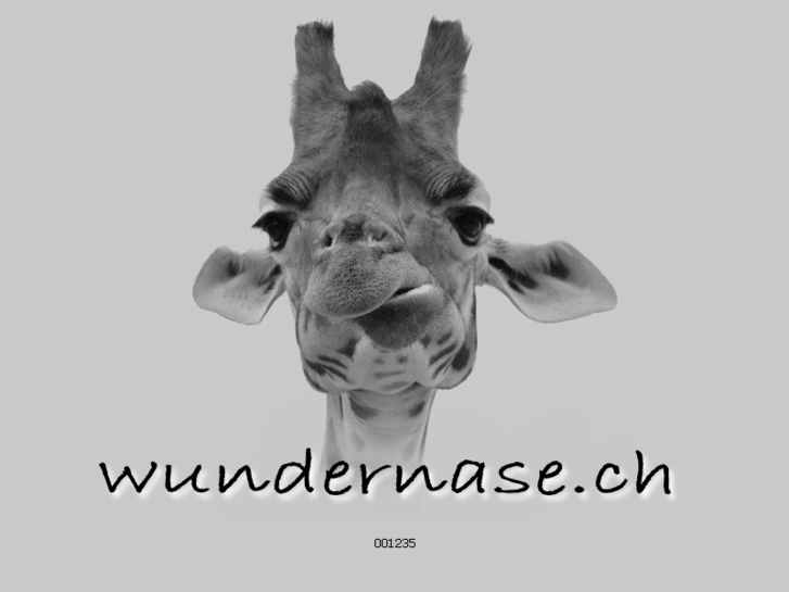 www.wundernase.ch