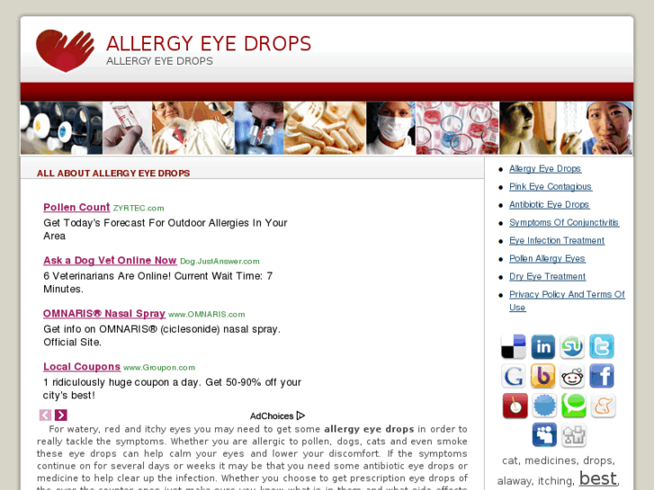 www.allergyeyedropsreview.com