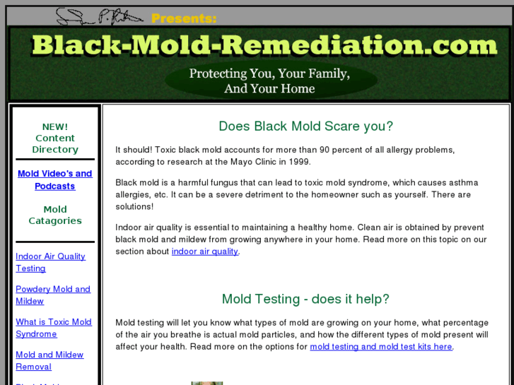 www.black-mold-remediation.com