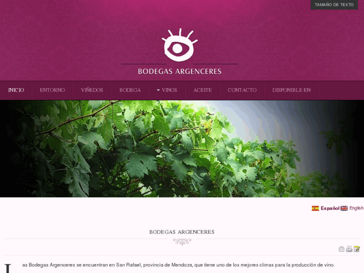 www.bodegasargenceres.com