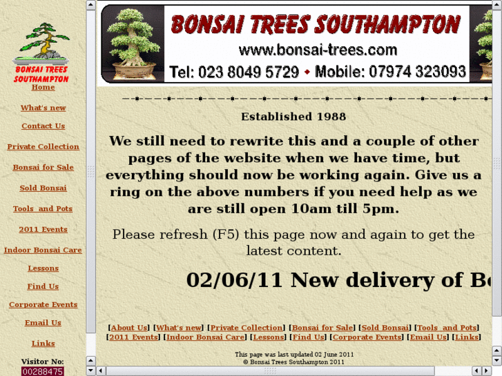 www.bonsai-trees.com