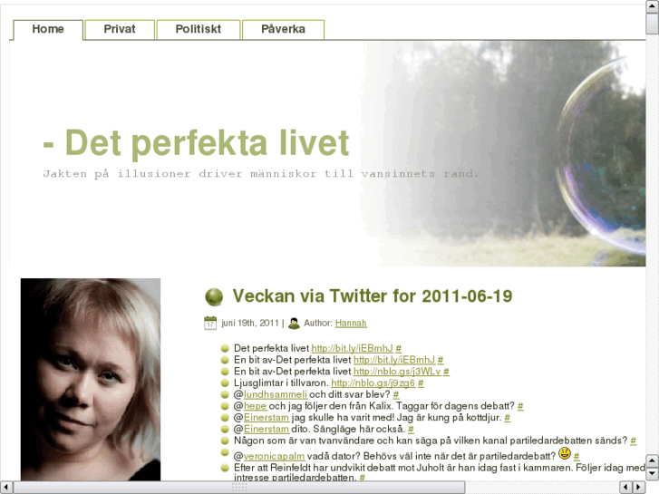 www.detperfektalivet.se