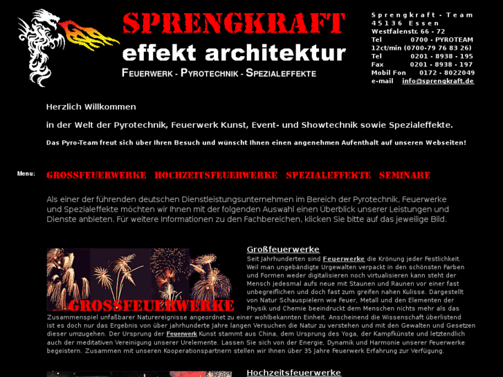 www.feuerwerk-pyrotechnik-spezialeffekte.de