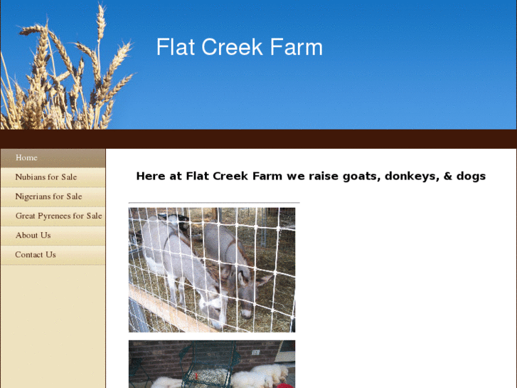 www.flatcreekfarm.com