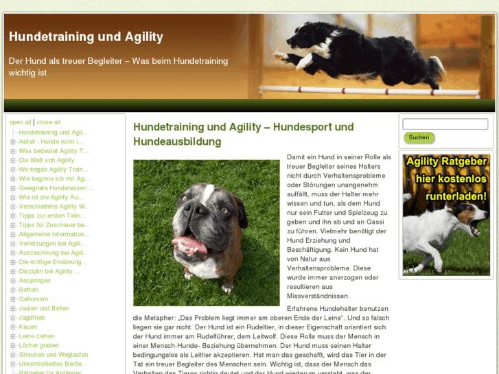 www.hundetraining.net