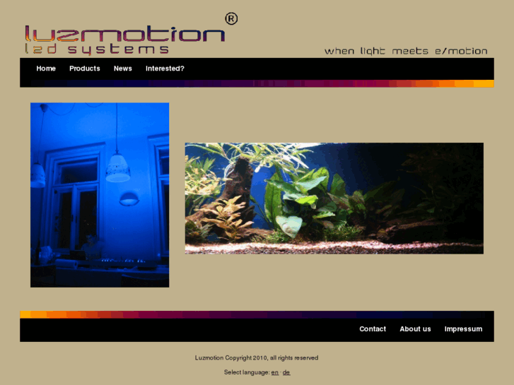 www.luzmotion.com