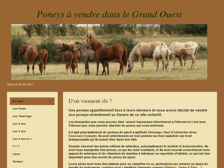 www.poney-a-vendre.com