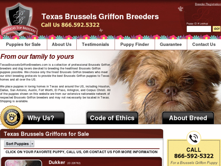 www.texasbrusselsgriffonbreeders.com