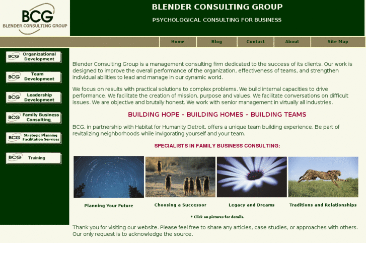 www.blenderconsulting.com