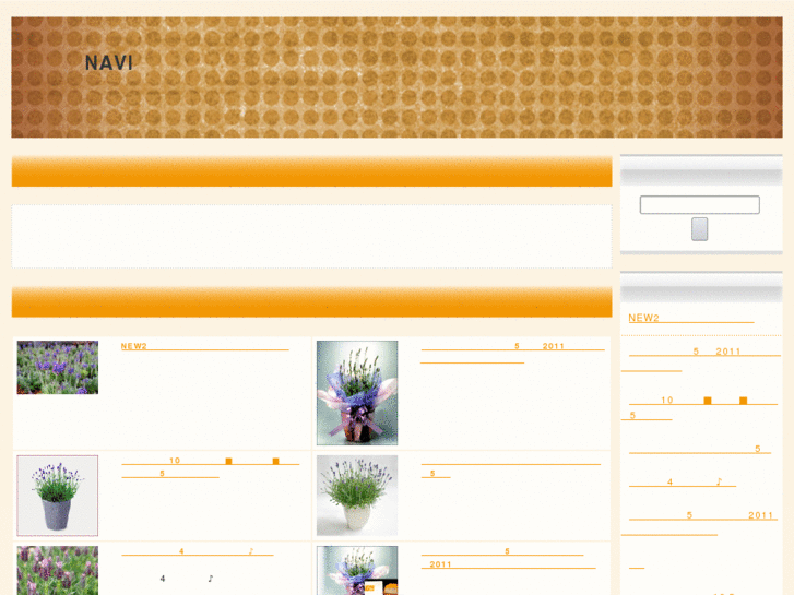 www.onlinediary.info
