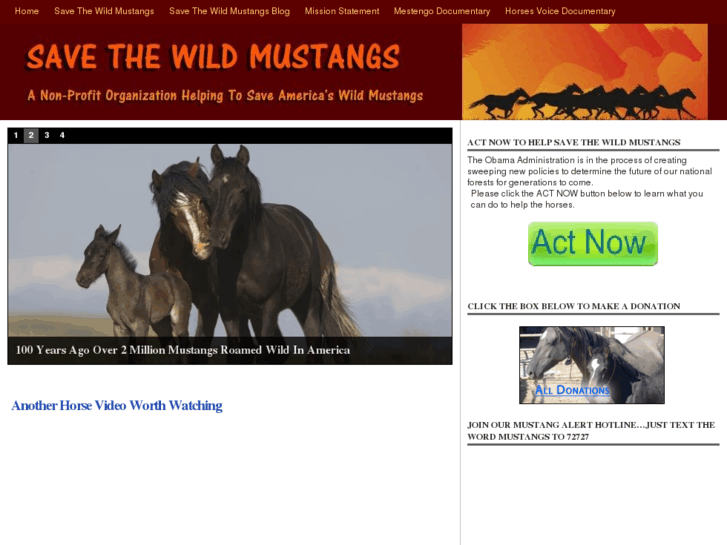 www.savethewildmustangs.com