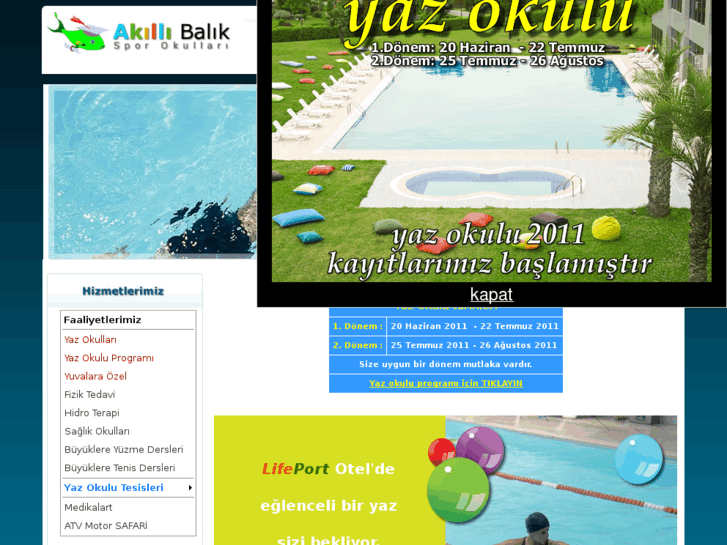 www.akillibalik.com