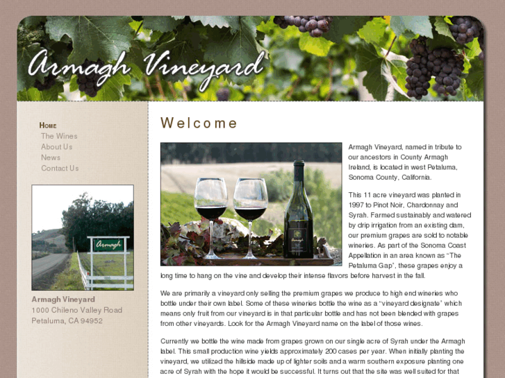 www.armaghvineyard.com