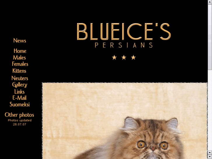 www.blueices.net