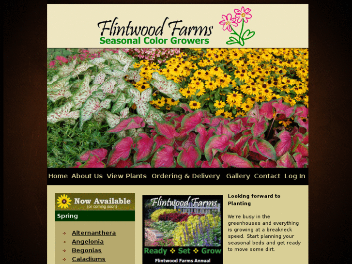 www.flintwood.net