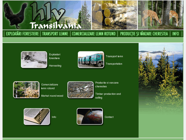 www.hlv.ro