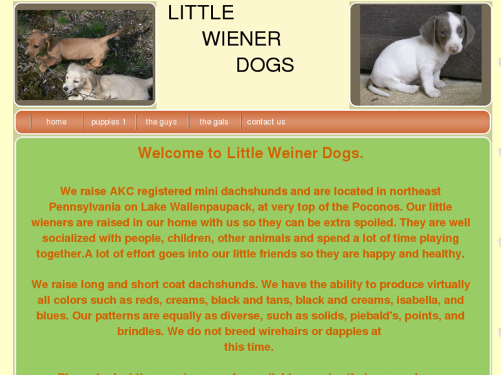 www.littleweinerdogs.com