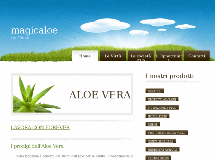 www.magicaloe.it