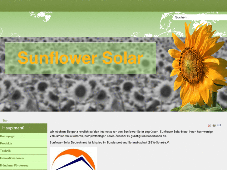 www.sunflower-solar.de