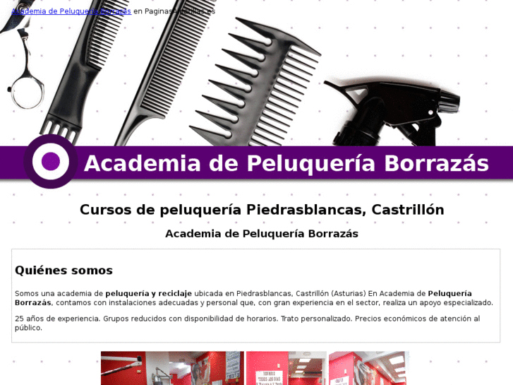 www.academiaborrazas.com