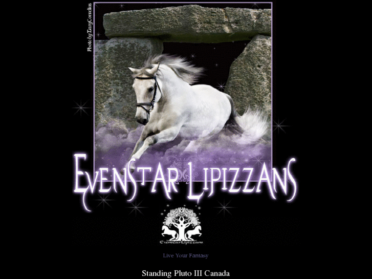 www.evenstarlipizzans.com