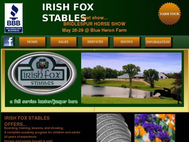 www.irishfoxstables.com