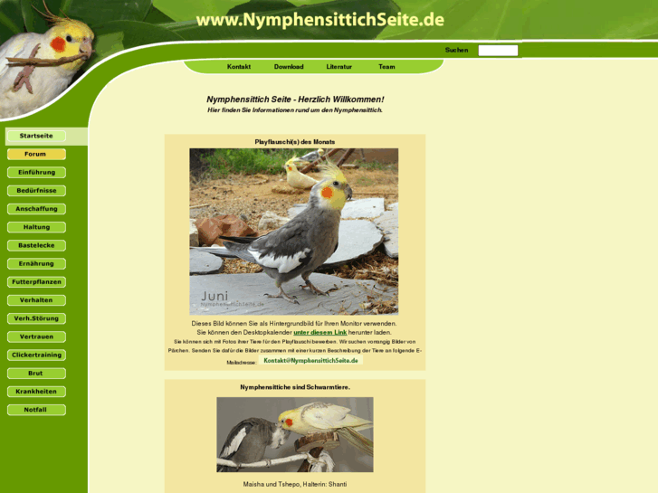 www.nymphensittichseite.de