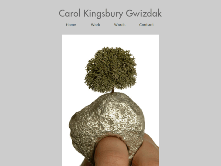 www.carolgwizdak.com