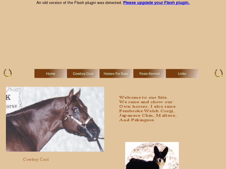 www.fearsquarterhorses.com