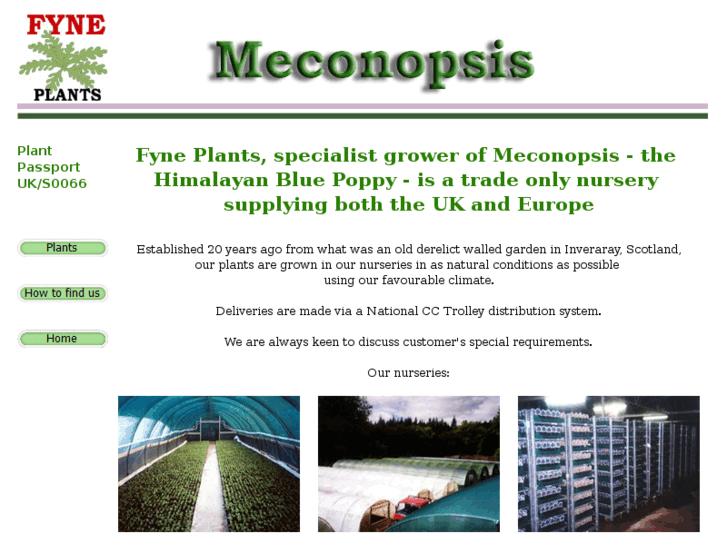 www.fyneplants.com