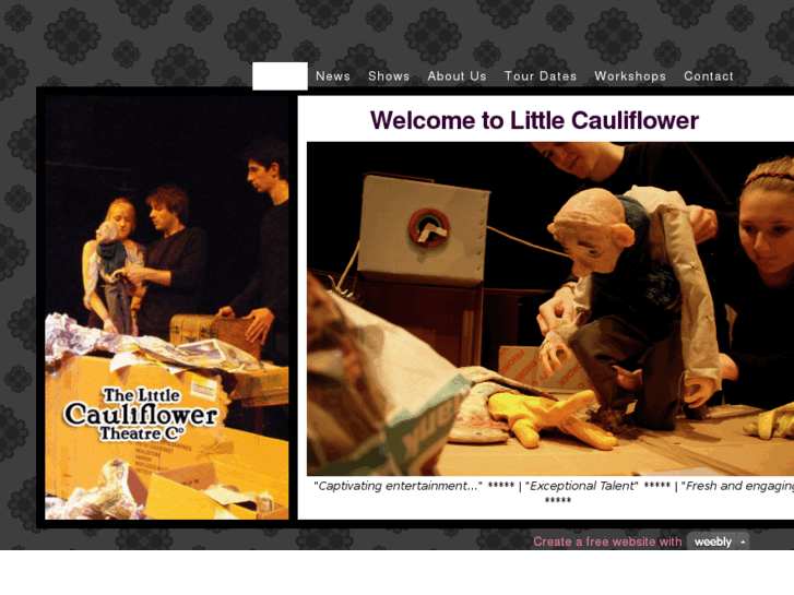 www.littlecauliflower.com
