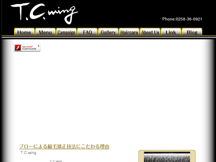 www.tc-wing.jp