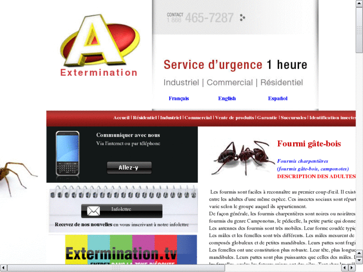 www.ant-extermination.com