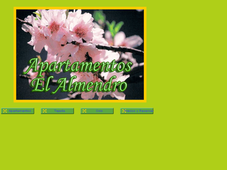 www.apartamentoselalmendro.com