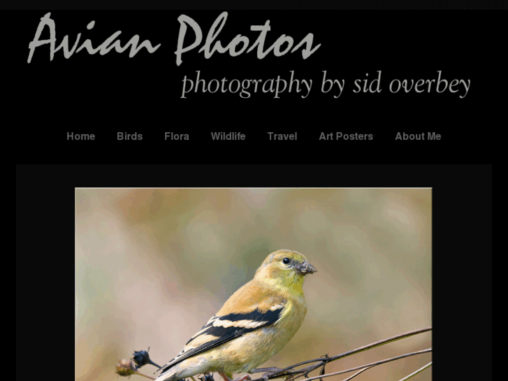 www.avianphotos.com