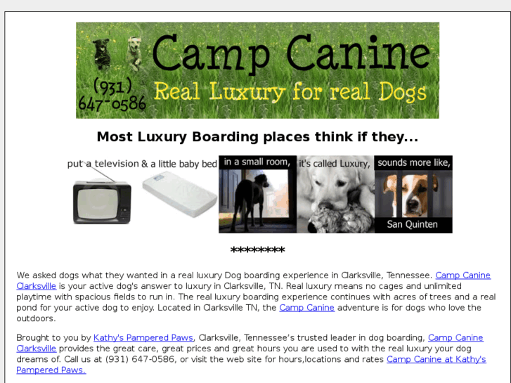 www.campcanineclarksville.com